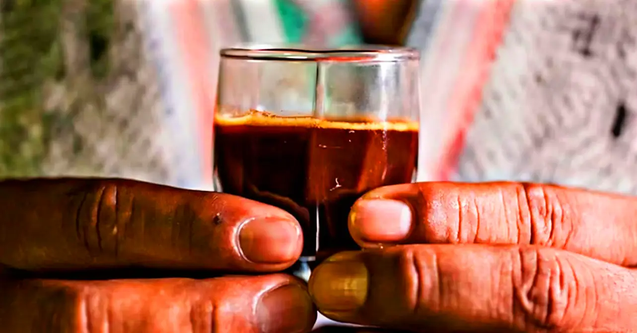 Você Sabia que Xamãs Antigos adicionavam outras medicinas à Ayahuasca?